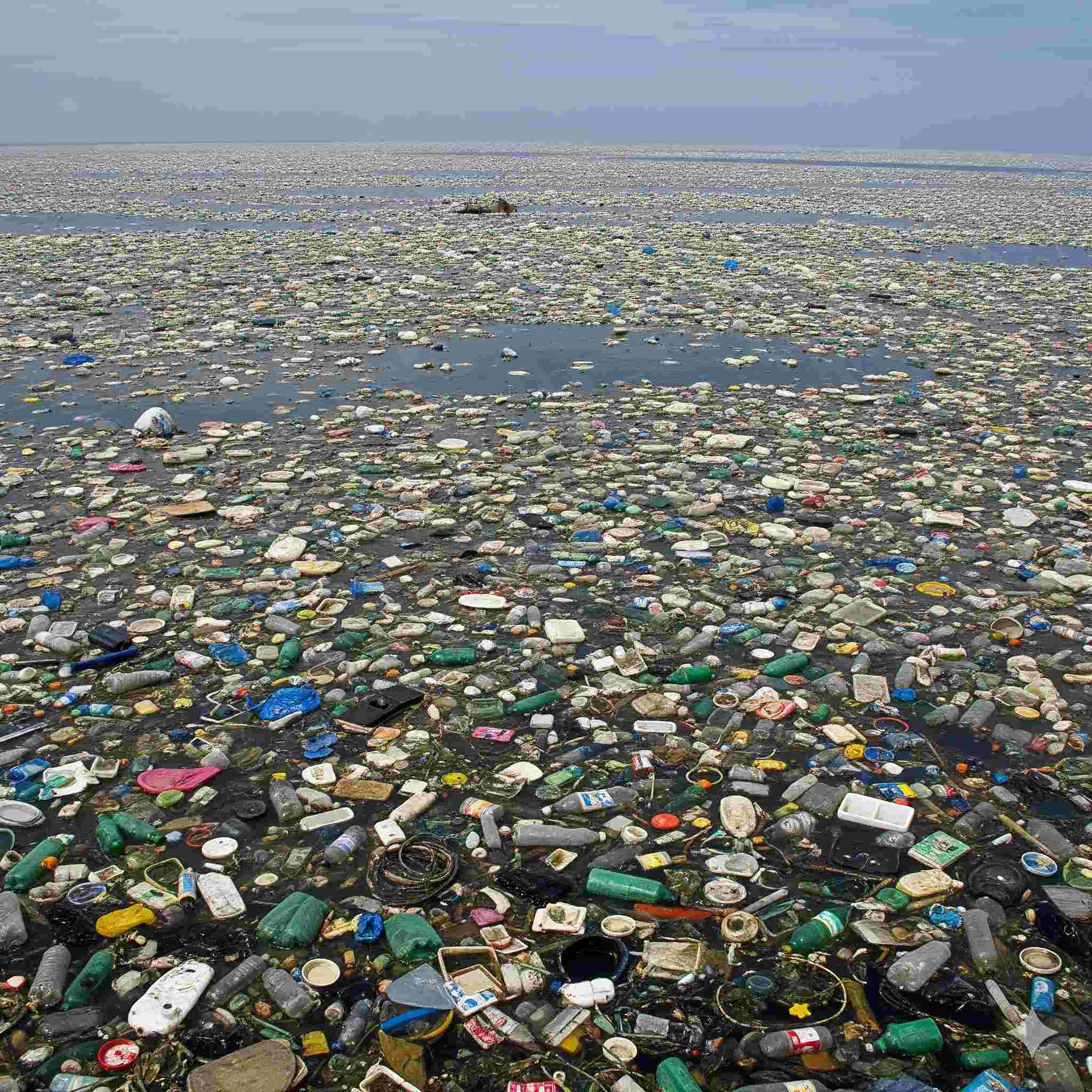 Great Pacific Garbage Patch