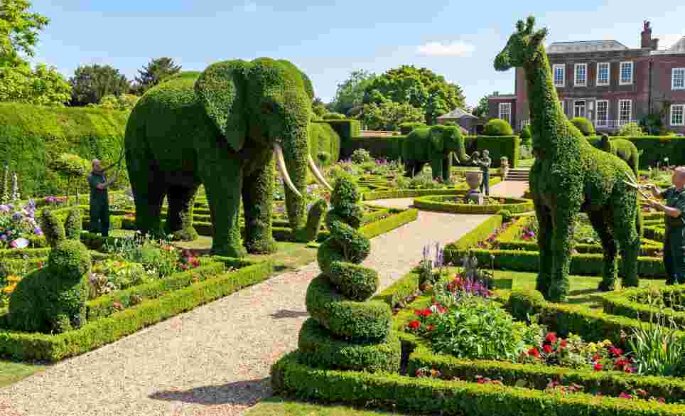 Topiary Art