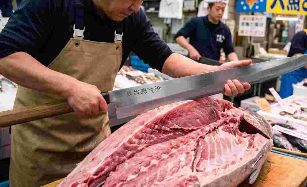 Maguro Bocho Knife