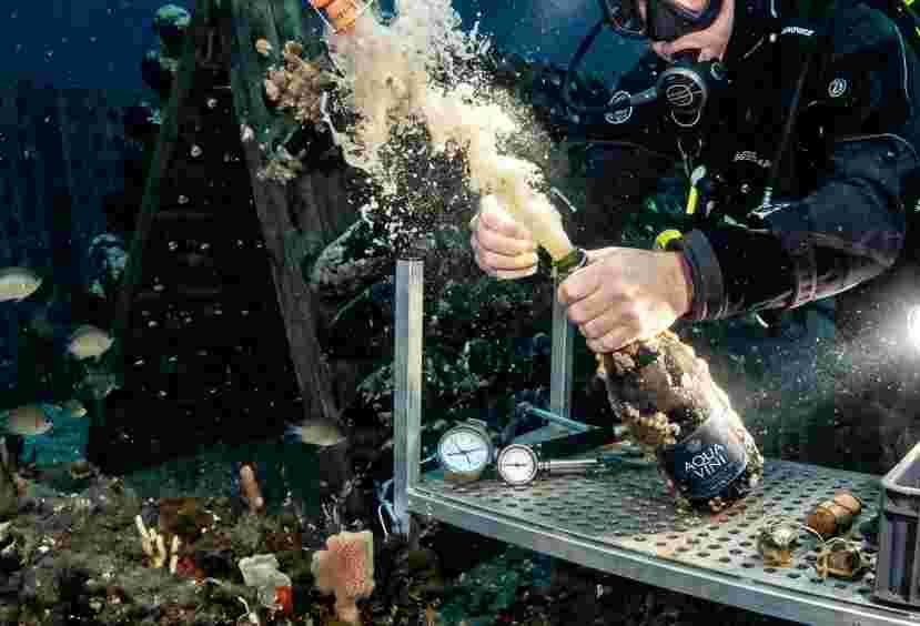 Underwater Disgorgement Sparkling Wine
