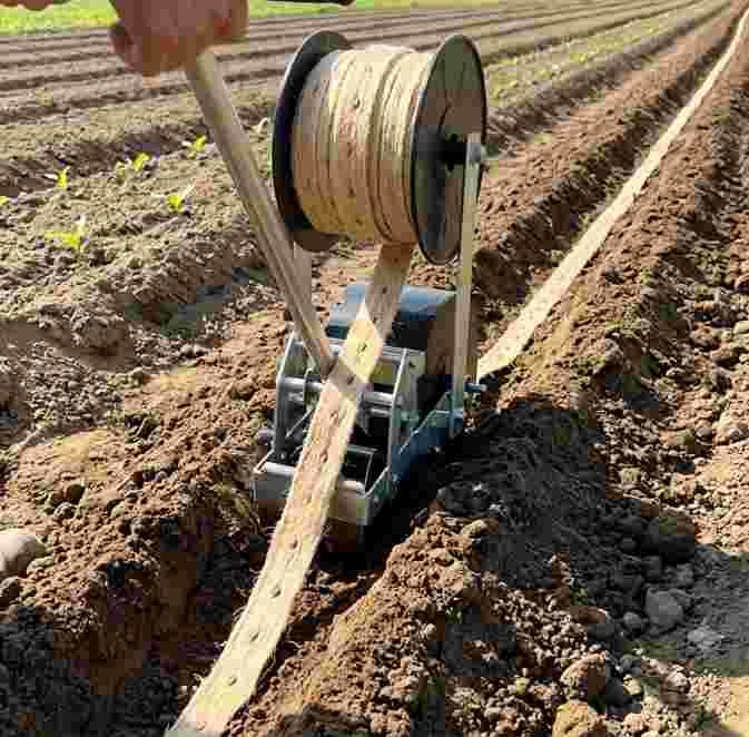 Seed Rope Planting Technology